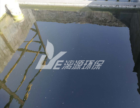 化工污水處理的污泥脫水技術(shù)有哪些？
