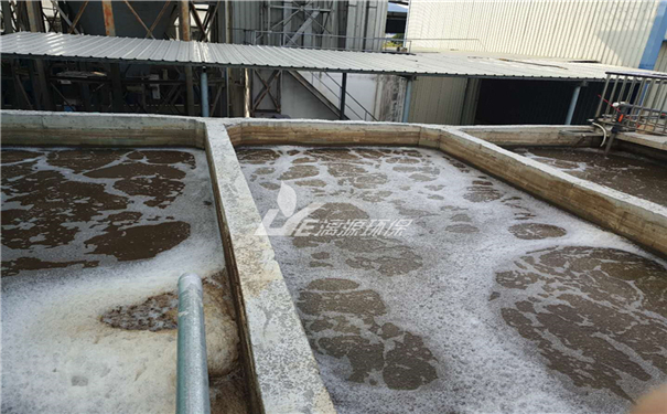 鴨廠養(yǎng)殖廢水處理技術